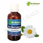 Chamomile German Oil 50ml