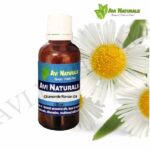 Chamomile Roman Oil 50ml