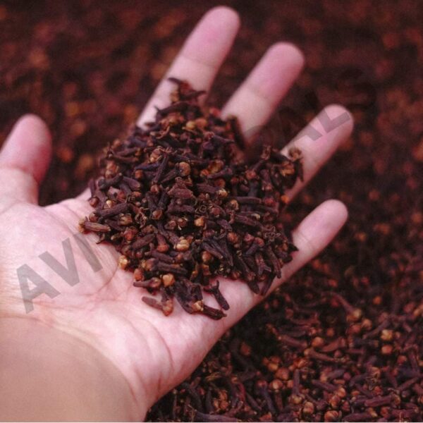 Clove bud oil