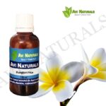 Frangipani Attar 50ml