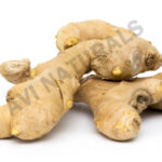 Ginger Essential Oil