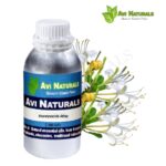 Honeysuckle Attar 500ml