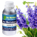 Lavender Oil 500ml