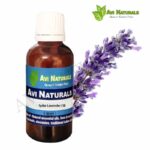 Spike Lavender Oil 50ml