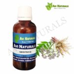 Valerian Root Oil 50ml