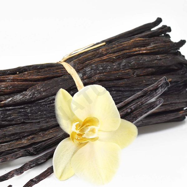 Vanilla Oil