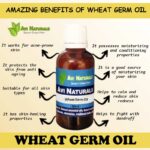 Wheat Germ Oil 50ml