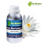 White Lotus Attar 500ml