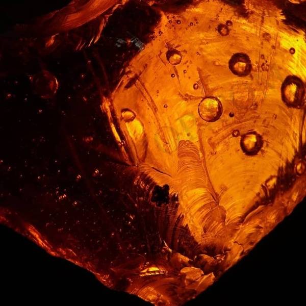 Amberi shamama attar