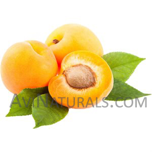 apricot kernel oil Suppliers