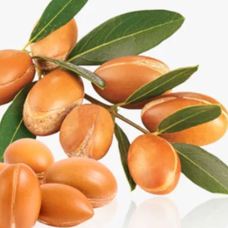 buy-argan-oil Buy argan oil