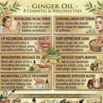 Commercial use ginger oil