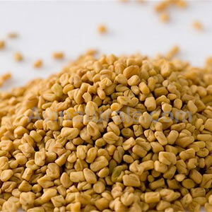 fenugreek oil Suppliers