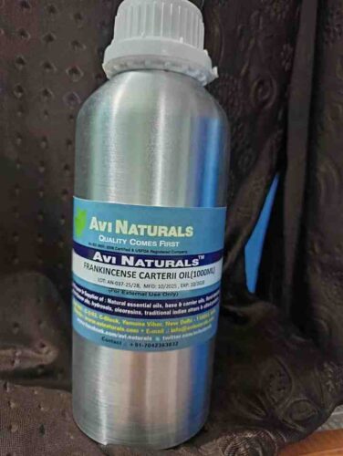 Frankincensecarterii2