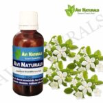 Jasmine grandiflorum oil 50ml
