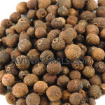 pimento berry oil Suppliers