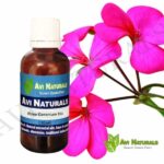 Rose geranium oil 50ml