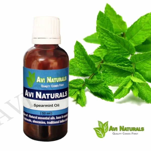 Best Spearmint Oil Indian - Fast Shipping - Norex flavours