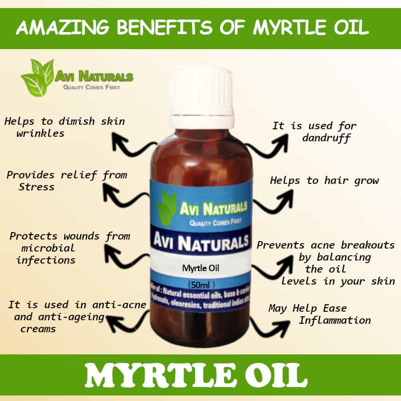Myrtle Oil Wholesale Supplier and Manufacturer in India