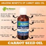 Uses and benfits of carrot seed oil
