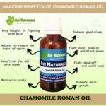 Uses and benfits of chamomile roman oil