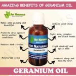 Uses and benfits of geranium oil