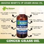 Uses and benfits of ginger grass oil