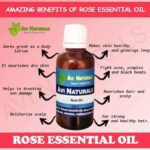 Uses and benfits of rose oil