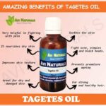 Uses and benfits of tagetes oil