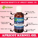 Uses benefits of apricot kernel oil