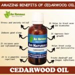 Uses benefits of cedarwood oil
