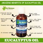 Uses benefits of eucalyptus oil