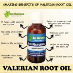 Uses benefits of valerian root oil
