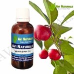 Wintergreen oil 50ml