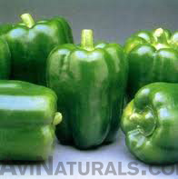 capsicum oil suppliers