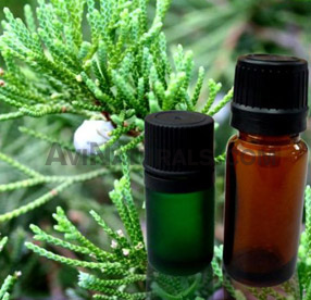 cypress oil suppliers