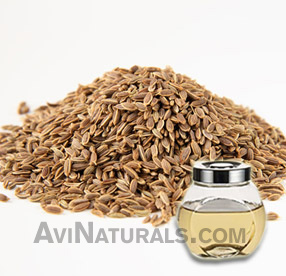 dill seed oil-(anethum aowa) suppliers