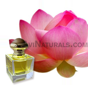 louts attar suppliers