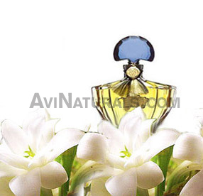 majmua 96 attar suppliers