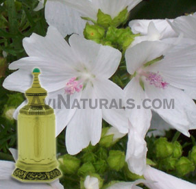 musk attar suppliers