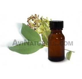 myrtle oil suppliers