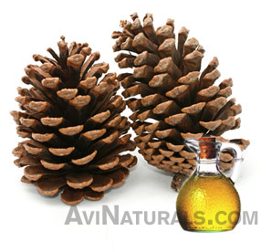 pine oil suppliers