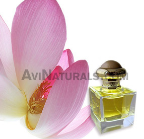 pink louts attar suppliers