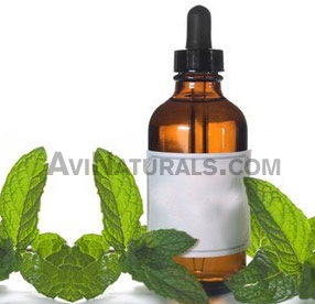 spearmint oil suppliers