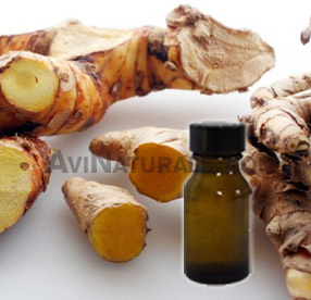 turmeric root oil suppliers