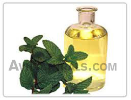 Mentha Citrata Oil suppliers