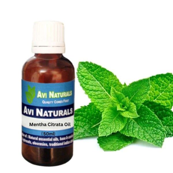 Mentha citrata oil