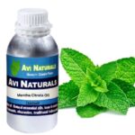 Mentha citrata oil bulk