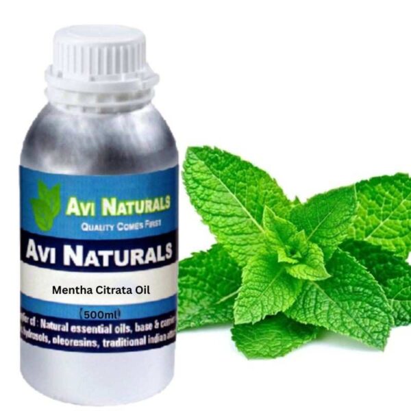 Mentha citrata oil bulk