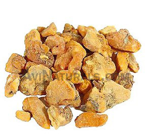 benzoin absolute suppliers